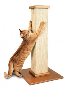 Cat scratching pillar