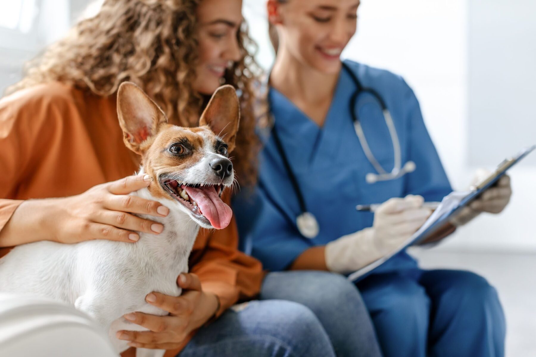 Emergency & Urgent Care - Wyomissing Animal Hospital