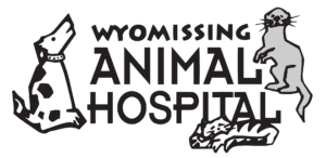 Wyomissing